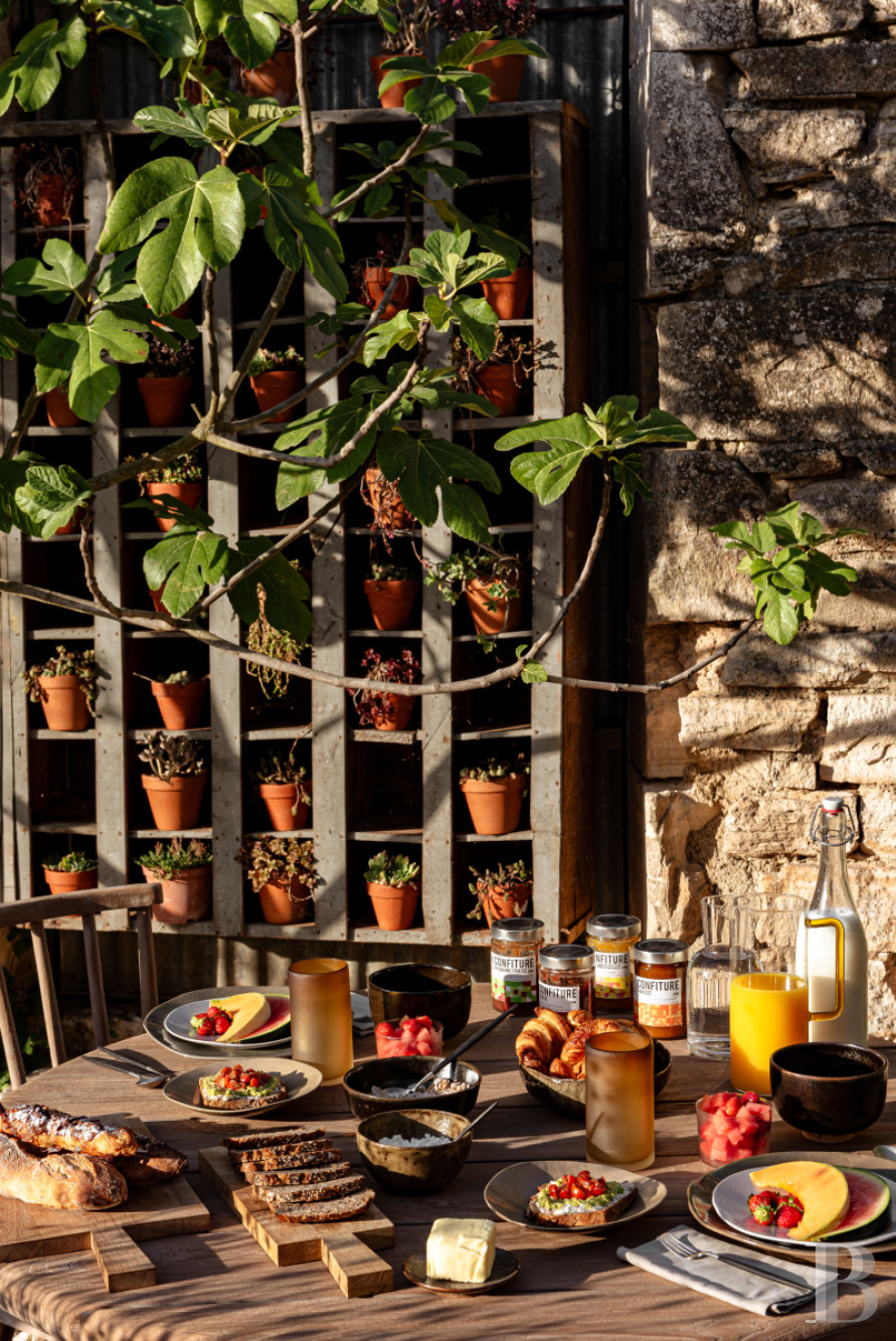 Dans le Gard, en bordure de l’Ardèche, un ancien mas restauré au milieu des oliviers, des vignes et des lavandes - photo  n°3